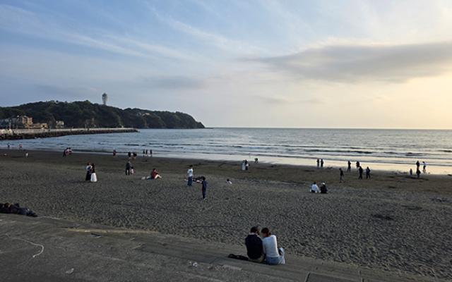 할리레이-4